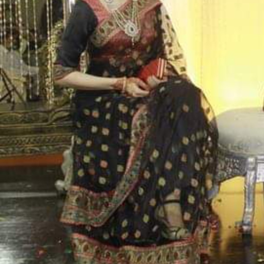 Pakistani/indian formal saree